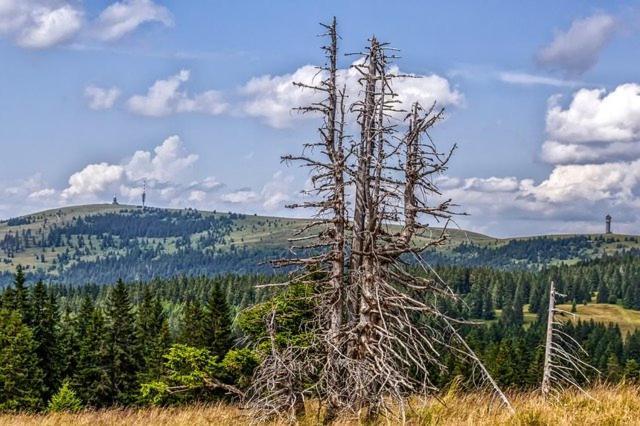 Bergsee シュルッフゼー エクステリア 写真